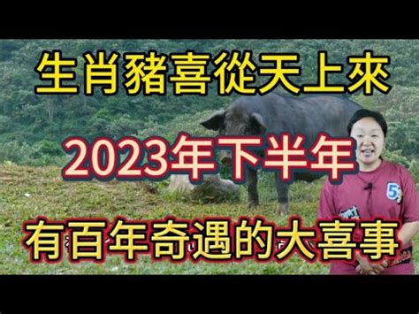 2023屬豬買房|【2023屬豬買房】2023屬豬買房攻略：吉利樓層、錢途無限生肖。